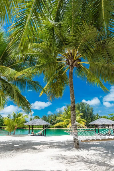 Palmeiras e redes em uma praia tropical, ilhas de Vanuatu — Fotografia de Stock