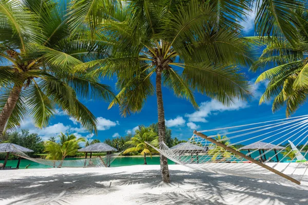 Palmeiras e redes em uma praia tropical, ilhas de Vanuatu — Fotografia de Stock
