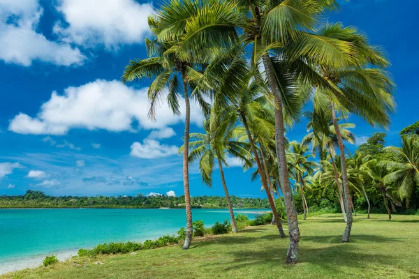 瓦努阿图埃法特岛维拉港的热带度假胜地, — 图库照片