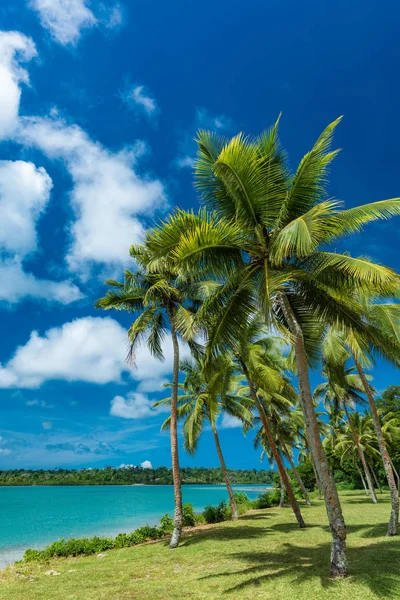 Tropical resort destination in Port Vila, Efate Island, Vanuatu, — Stock Photo, Image