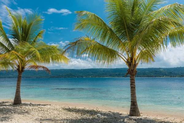 Plage avec palmiers, île tropicale d'Efate, Vanuatu — Photo