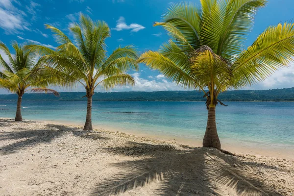 Spiaggia con palme, tropicale Isola di Efate, Vanuatu — Foto Stock