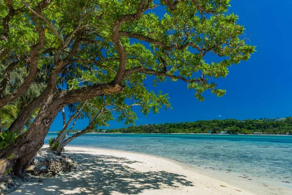Palmeiras em uma praia tropical, Vanuatu, Ilha de Erakor, Efate — Fotografia de Stock