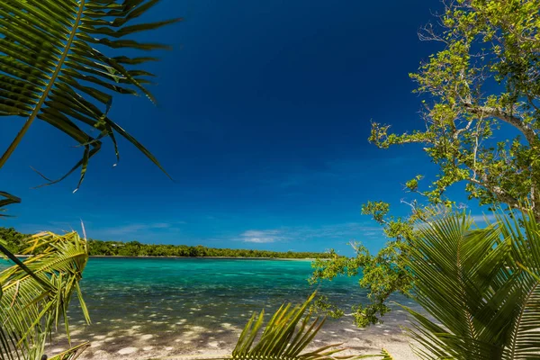 Palm trees on a tropical beach, Vanuatu, Erakor Island, Efate — Stock Photo, Image