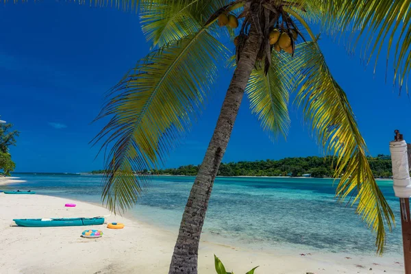 Palmové stromy na tropické pláži, Vanuatu, ostrov Erakor, Efate — Stock fotografie