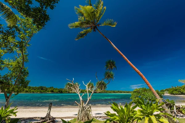 Palmeiras em uma praia tropical, Vanuatu, Ilha de Erakor, Efate — Fotografia de Stock