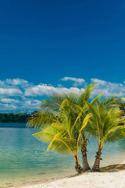 ポートビラ、エフェテ島、バヌアツのトロピカルリゾートの目的地, — ストック写真
