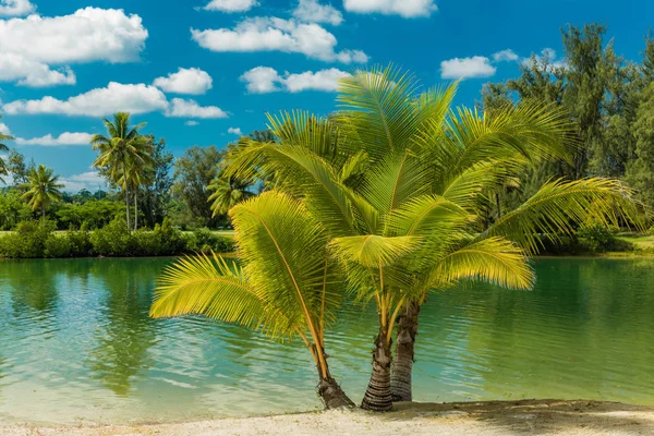 Tropikalny kurort w Port Vila, Efate Island, Vanuatu, — Zdjęcie stockowe