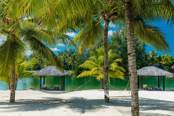 Palmy i hamak na tropikalnej plaży, Wyspy Vanuatu — Zdjęcie stockowe