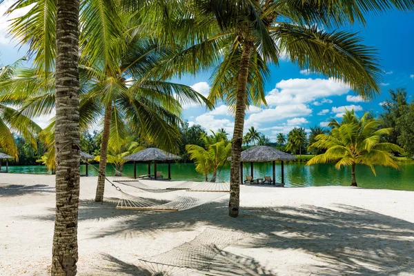 Palmové stromy a houpací síť na tropické pláži, na ostrovech Vanuatu — Stock fotografie