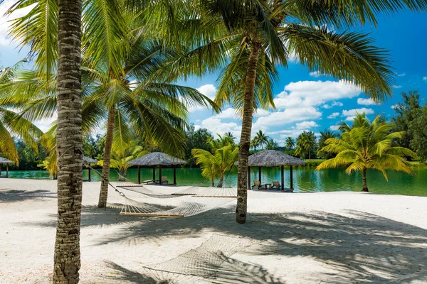 Palmy i hamak na tropikalnej plaży, Wyspy Vanuatu — Zdjęcie stockowe