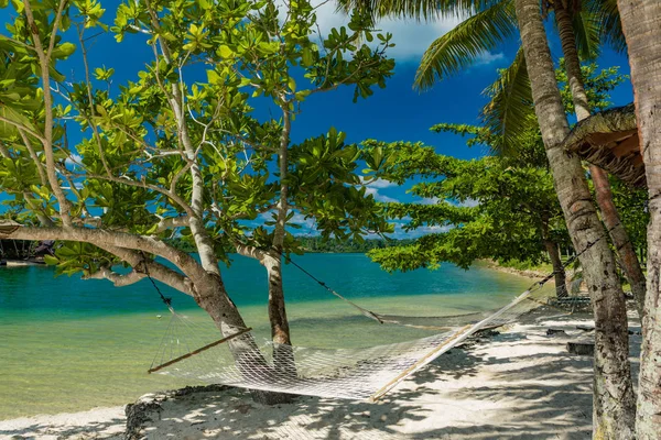 Palmové stromy a houpací síť na tropické pláži, na ostrovech Vanuatu — Stock fotografie