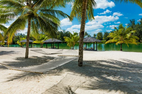 Palmen und Hängematte an einem tropischen Strand, Vanuatu-Inseln — Stockfoto