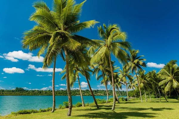 Tropical Resort Destination in Port Vila, Efate Island, Vanuatu, — Stockfoto