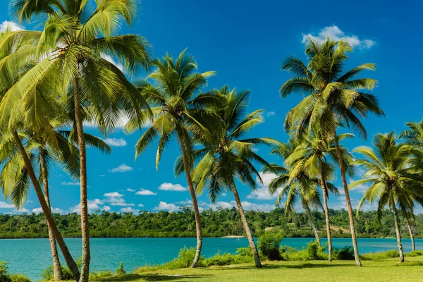 Destino del complejo tropical en Port Vila, Efate Island, Vanuatu , —  Fotos de Stock