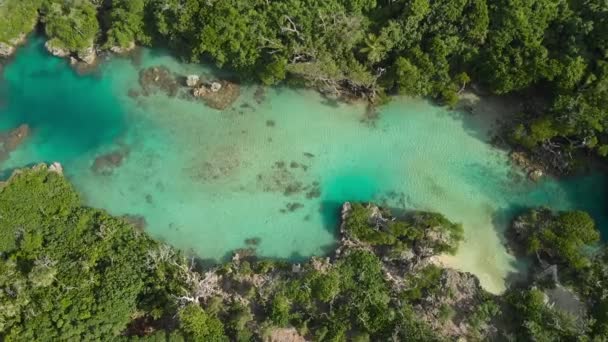 Blue Lagoon Van Drone Port Vila Efate Vanuatu — Stockvideo