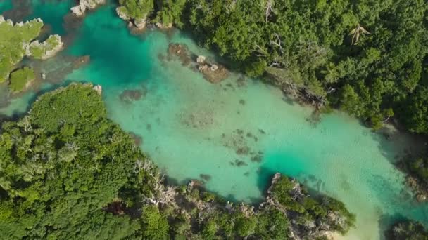 Den Blå Lagunen Från Drone Port Vila Efate Vanuatu — Stockvideo