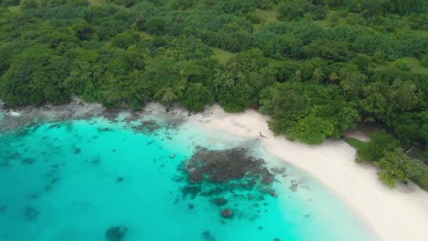 Pláž Champagne Vanuatu Ostrov Espiritu Santo Poblíž Luganville Jižní Pacifik — Stock video