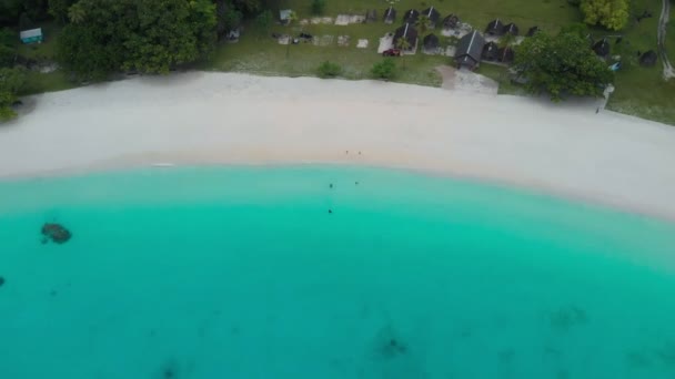Pláž Champagne Vanuatu Ostrov Espiritu Santo Poblíž Luganville Jižní Pacifik — Stock video