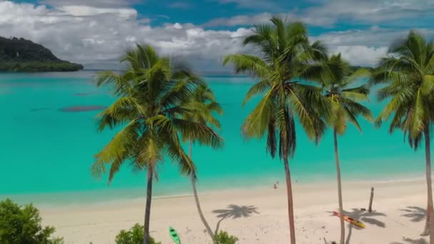 Port Orly Homokos Tengerpart Pálmafákkal Espiritu Santo Island Vanuatu — Stock videók