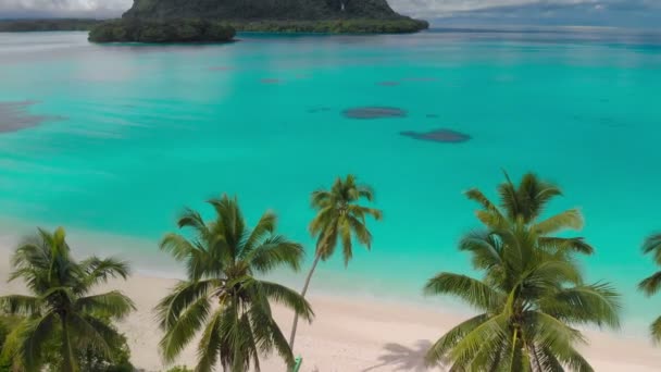 奥里港沙滩与棕榈树 埃斯皮里图圣岛 瓦努阿图 — 图库视频影像
