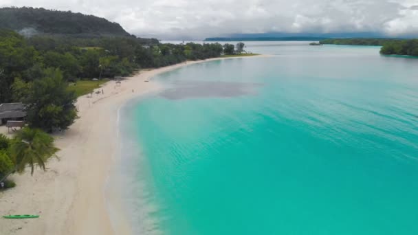 奥里港沙滩与棕榈树 埃斯皮里图圣岛 瓦努阿图 — 图库视频影像