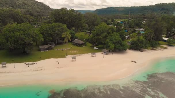 Porto Orly Praia Areia Com Palmeiras Ilha Espiritu Santo Vanuatu — Vídeo de Stock