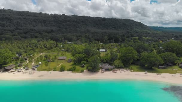 Port Orly Sandstrand Med Palmer Espiritu Santo Vanuatu — Stockvideo