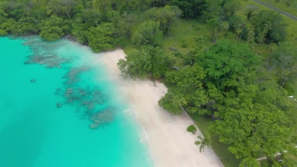 Port Orly Homokos Tengerpart Pálmafákkal Espiritu Santo Island Vanuatu — Stock videók