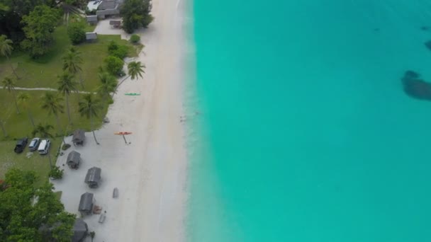 Port Orly Plage Sable Avec Palmiers Espiritu Santo Island Vanuatu — Video