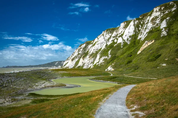 Vue Panoramique Samphire Hoe Country Park Avec Falaises Blanches Sud — Photo