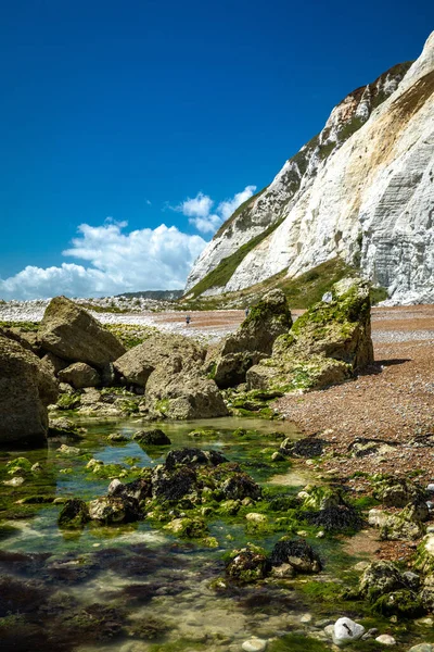 英国南部有白色悬崖峭壁的Samphire Hoe郊野公园景观 — 图库照片