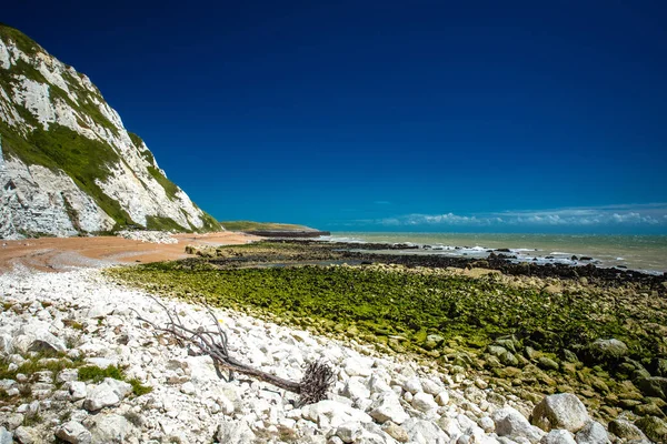 Scenic View Samphire Hoe Country Park White Cliffs South England — Stock Photo, Image
