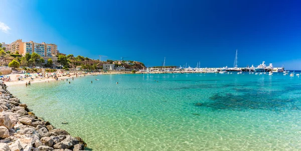 Sandstrand Von Port Adriano Sommer Toro Mallorca Balearen Spanien — Stockfoto