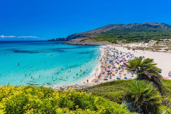Piękna Piaszczysta Plaża Cala Mesquida Majorka Morze Śródziemne Baleary Hiszpania — Zdjęcie stockowe