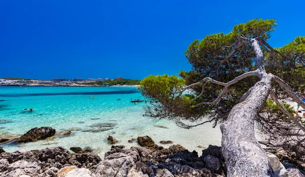 Cala Agulla Met Geweldig Zandstrand Spanje Balearen Mallorca Cala Rajada — Stockfoto