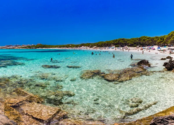 Cala Agulla Mallorca Spain Липня 2020 Люди Насолоджуються Літом Популярному — стокове фото