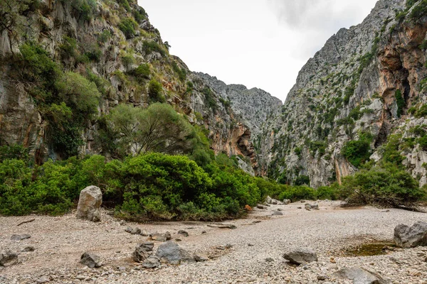 Torrent Pareis Tiefste Schlucht Der Insel Mallorca Spanien — Stockfoto