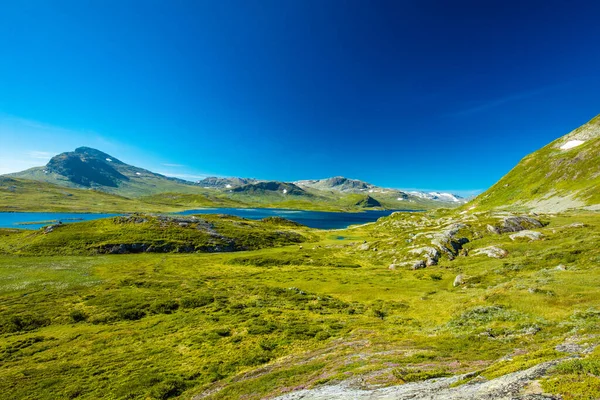 Wandelen Het Prachtige Jotunheimen National Park Noorwegen Synshorn Mountain — Stockfoto