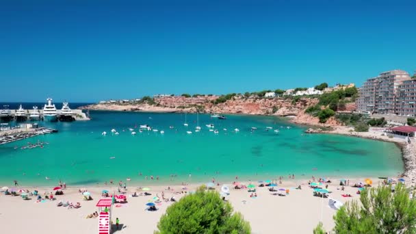 Letecký Výhled Přístav Port Adriano Toro Mallorca Baleárské Ostrovy Španělsko — Stock video