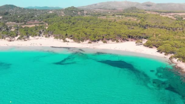 Piaszczysta Plaża Cala Agulla Hiszpania Baleary Majorka Cala Rajada — Wideo stockowe