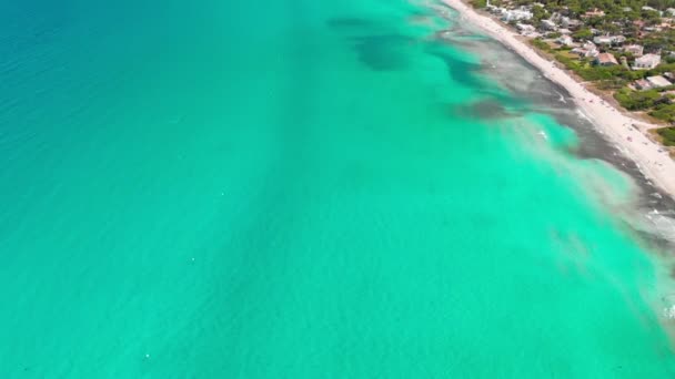 Playa Muro Mallorca Spanya Daki Sahil Manzarası — Stok video