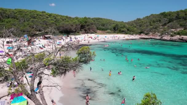 Cala Mondrago Majorka Spagna Luglio 2020 Gente Gode Spiaggia Parque — Video Stock