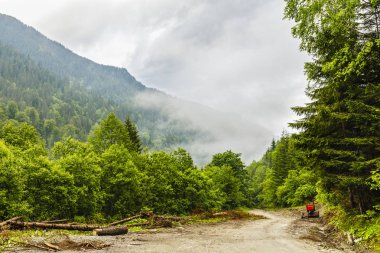 Romanya parang Dağları ile sisli yağmurlu bir gün içinde yatay