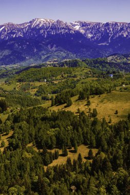 Bahar Romen Karpatlar Bucegi Dağları'nın peyzaj