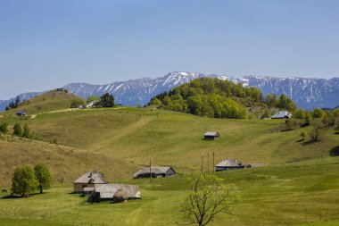 Bahar Romen Karpatlar Bucegi Dağları'nın peyzaj