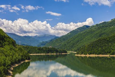 Olt nehir orman ve dağlarla çevrili Romanya ile manzara