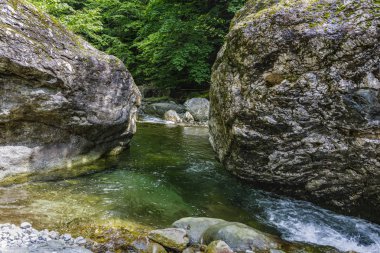 kristal su ile kayaların arasındaki bir güzel dağ nehir
