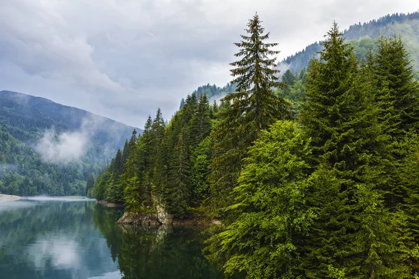 Krajina Jezerem Zamlženým Lesem Horách Deštivém Dni — Stock fotografie