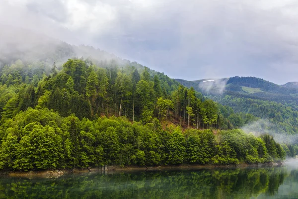 多云的森林 多云的森林 多雨的天气 — 图库照片